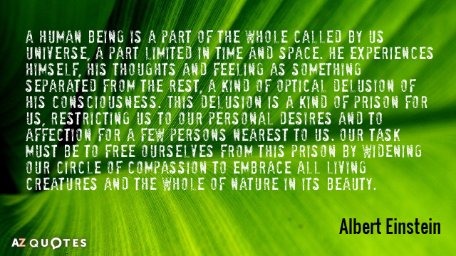 Albert Einstein cita: Un ser humano es una parte del todo llamado por nosotros universo...