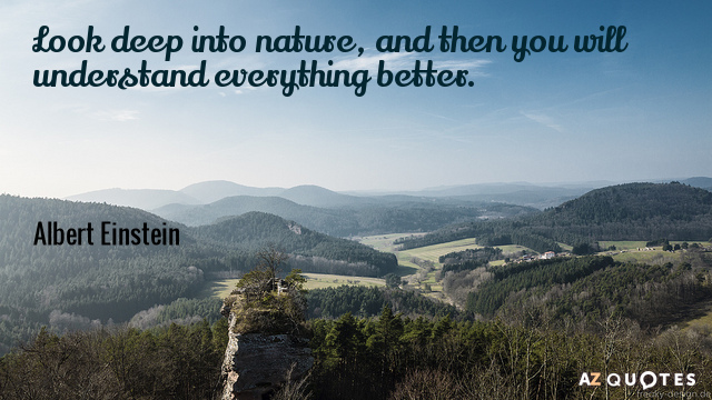 Albert Einstein cita: Mira en lo profundo de la naturaleza, y entonces entenderás todo mejor.