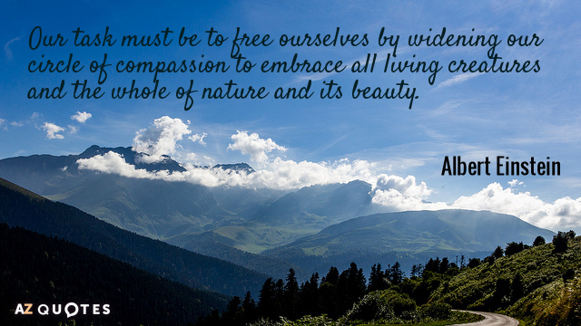 Albert Einstein cita: Nuestra tarea debe ser liberarnos ampliando nuestro círculo de compasión...