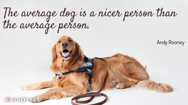 Cita de Andy Rooney: El perro medio es más simpático que la persona media.