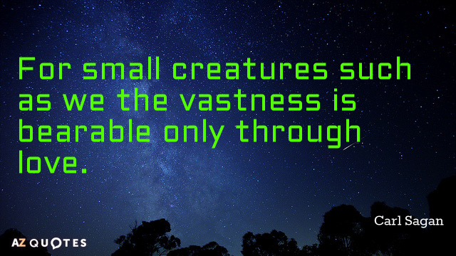 Carl Sagan cita: Para criaturas pequeñas como nosotros, la inmensidad sólo es soportable a través del amor.