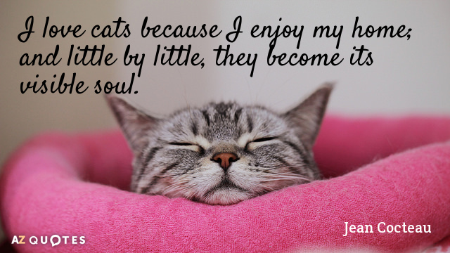Cita de Jean Cocteau: Amo a los gatos porque disfruto de mi casa; y poco a poco, ellos...