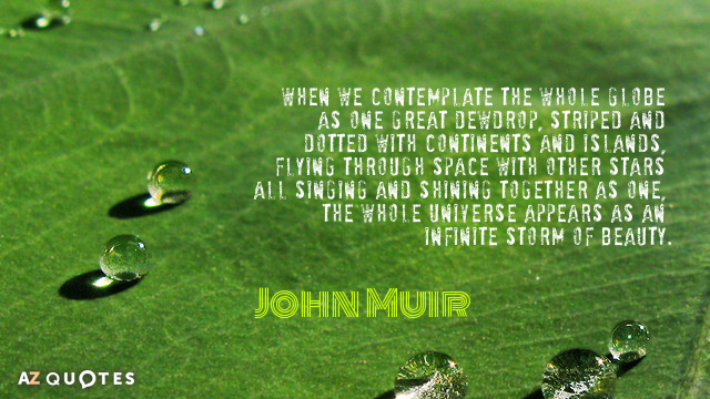 Cita de John Muir: Cuando contemplamos el globo entero como una gran gota de rocío, rayada y salpicada...