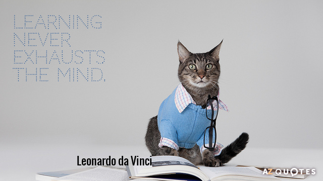 Leonardo da Vinci cita: Aprender nunca agota la mente.