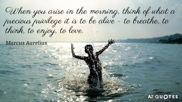 Marcus Aurelius cita: Cuando te levantes por la mañana, piensa en el precioso privilegio que...