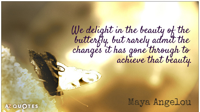Maya Angelou cita: Nos deleitamos con la belleza de la mariposa, pero rara vez admitimos los cambios...