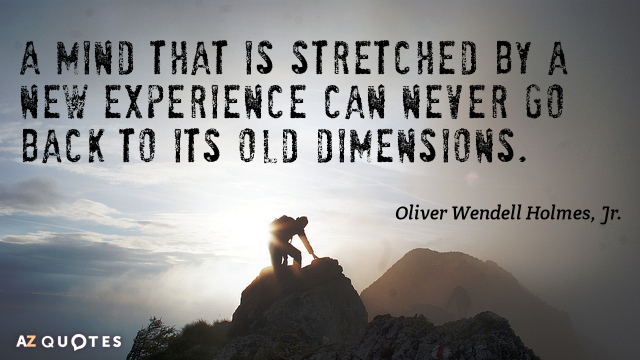 Oliver Wendell Holmescita de Jr: Una mente que se estira por una nueva experiencia nunca puede...