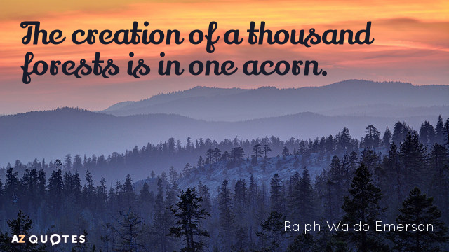 Ralph Waldo Emerson cita: La creación de mil bosques está en una bellota.