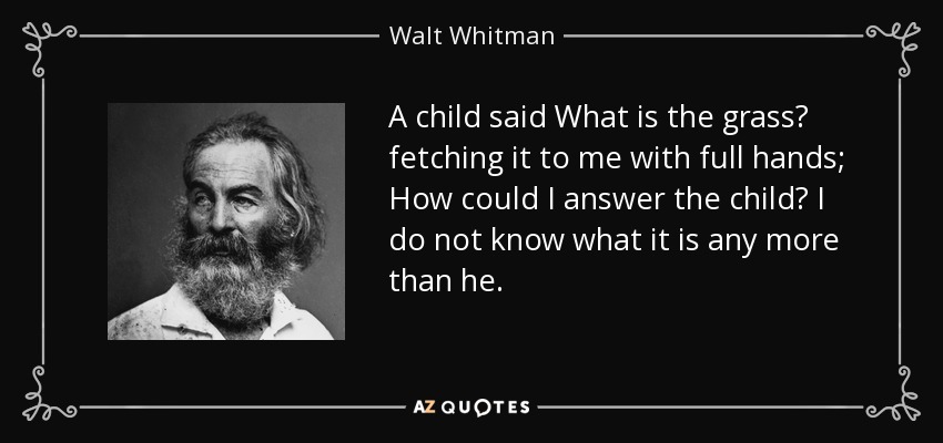 A child said What is the grass? fetching it to me with full hands; How could I answer the child? I do not know what it is any more than he. - Walt Whitman
