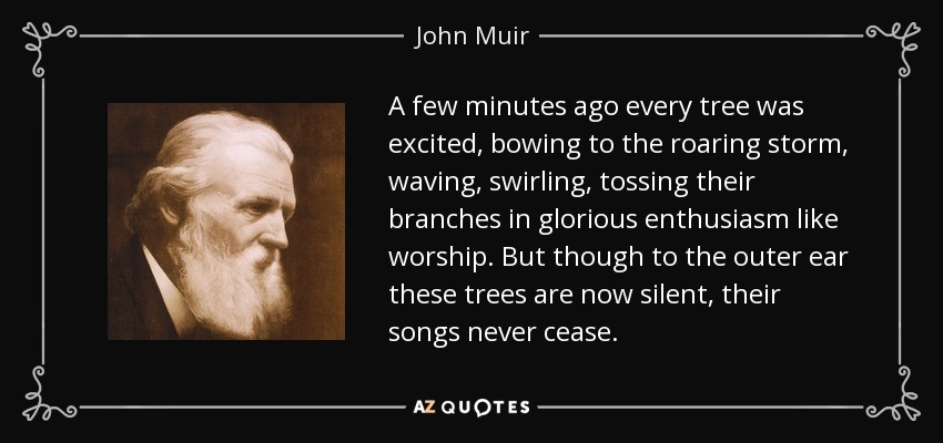 A few minutes ago every tree was excited, bowing to the roaring storm, waving, swirling, tossing their branches in glorious enthusiasm like worship. But though to the outer ear these trees are now silent, their songs never cease. - John Muir