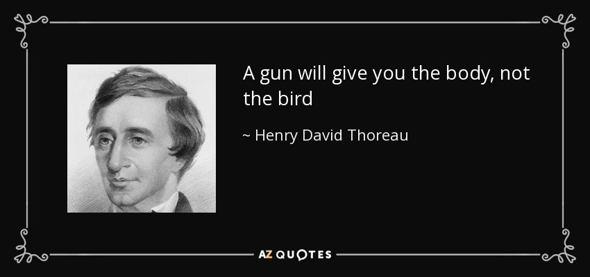 A gun will give you the body, not the bird - Henry David Thoreau