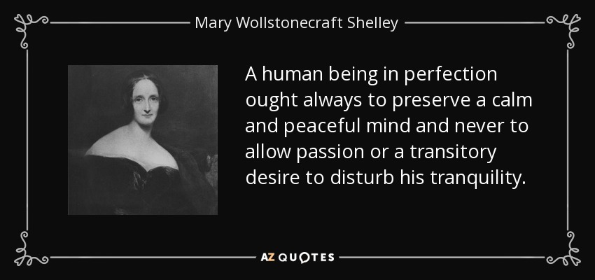 A human being in perfection ought always to preserve a calm and peaceful mind and never to allow passion or a transitory desire to disturb his tranquility. - Mary Wollstonecraft Shelley