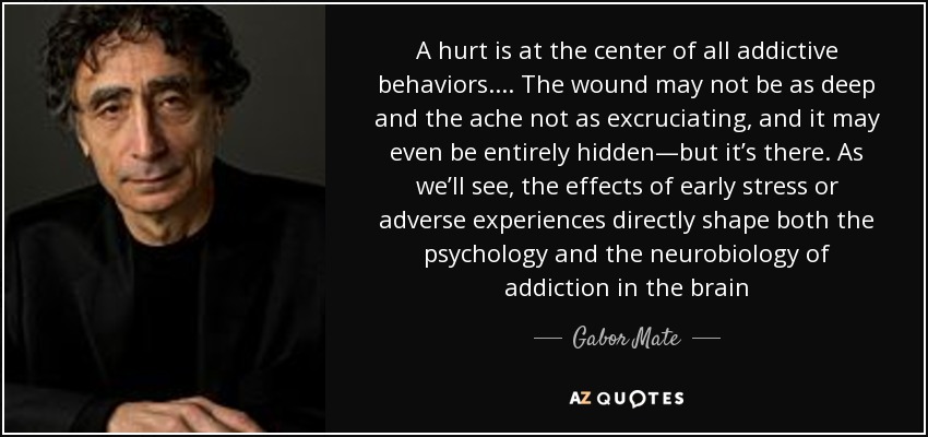 A hurt is at the center of all addictive behaviors. . . . The wound may not be as deep and the ache not as excruciating, and it may even be entirely hidden—but it’s there. As we’ll see, the effects of early stress or adverse experiences directly shape both the psychology and the neurobiology of addiction in the brain - Gabor Mate
