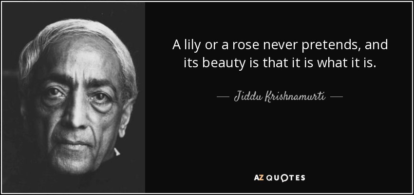 A lily or a rose never pretends, and its beauty is that it is what it is. - Jiddu Krishnamurti