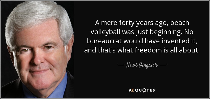 A mere forty years ago, beach volleyball was just beginning. No bureaucrat would have invented it, and that's what freedom is all about. - Newt Gingrich