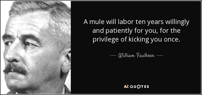 A mule will labor ten years willingly and patiently for you, for the privilege of kicking you once. - William Faulkner