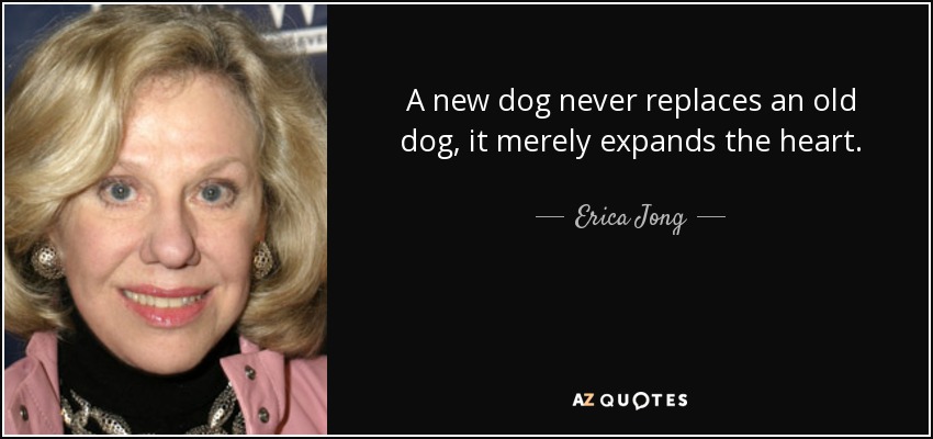 A new dog never replaces an old dog, it merely expands the heart. - Erica Jong