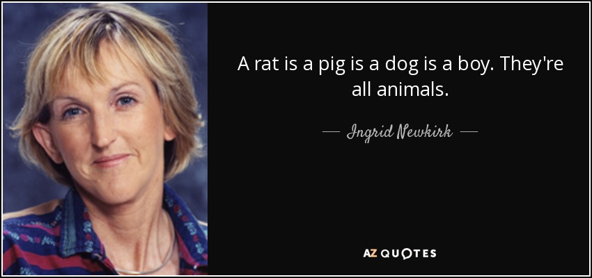 A rat is a pig is a dog is a boy. They're all animals. - Ingrid Newkirk