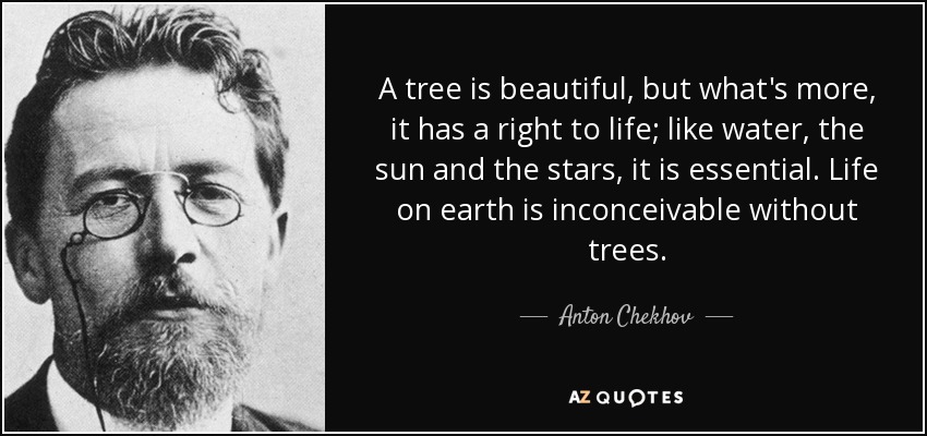A tree is beautiful, but what's more, it has a right to life; like water, the sun and the stars, it is essential. Life on earth is inconceivable without trees. - Anton Chekhov