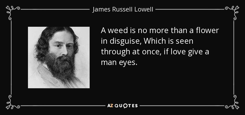 Una mala hierba no es más que una flor disfrazada, que se ve enseguida, si el amor le da ojos a un hombre. - James Russell Lowell
