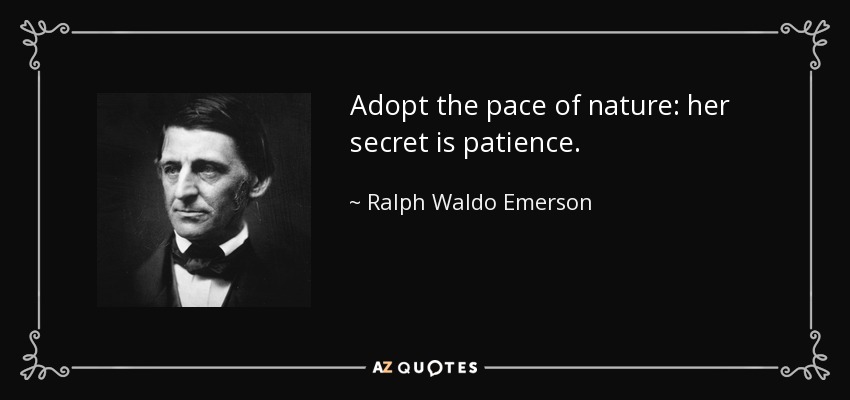 Adopta el ritmo de la naturaleza: su secreto es la paciencia. - Ralph Waldo Emerson