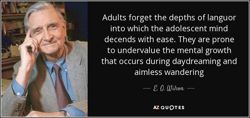 Adults forget the depths of languor into which the adolescent mind decends with ease. They are prone to undervalue the mental growth that occurs during daydreaming and aimless wandering - E. O. Wilson