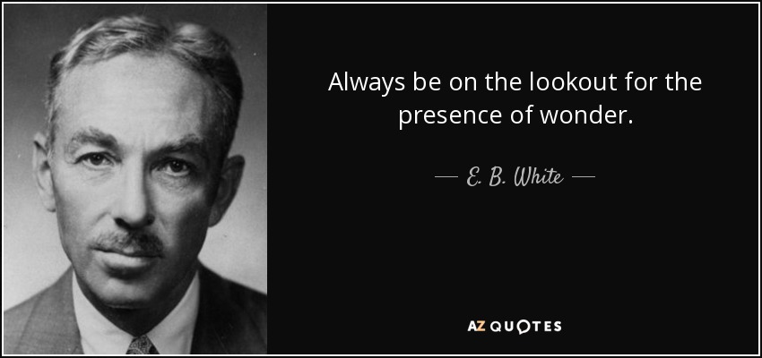 Always be on the lookout for the presence of wonder. - E. B. White