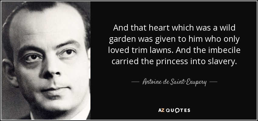 And that heart which was a wild garden was given to him who only loved trim lawns. And the imbecile carried the princess into slavery. - Antoine de Saint-Exupery