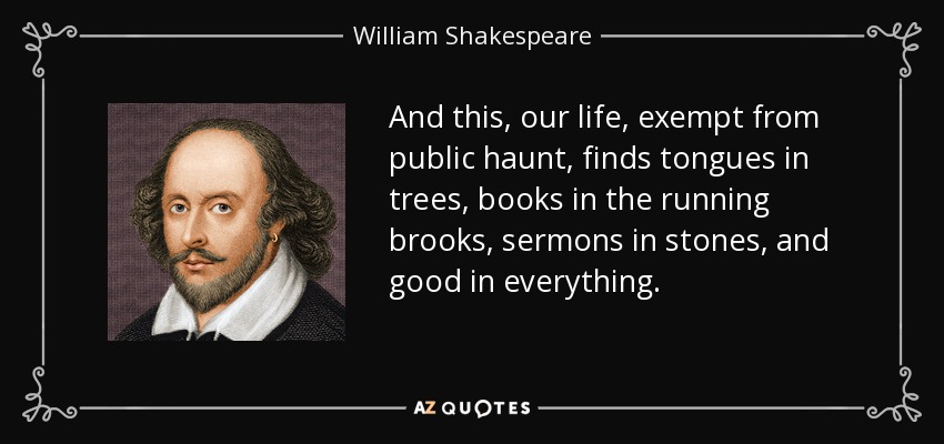 And this, our life, exempt from public haunt, finds tongues in trees, books in the running brooks, sermons in stones, and good in everything. - William Shakespeare