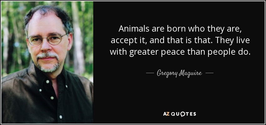 Animals are born who they are, accept it, and that is that. They live with greater peace than people do. - Gregory Maguire