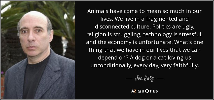 Animals have come to mean so much in our lives. We live in a fragmented and disconnected culture. Politics are ugly, religion is struggling, technology is stressful, and the economy is unfortunate. What's one thing that we have in our lives that we can depend on? A dog or a cat loving us unconditionally , every day, very faithfully. - Jon Katz