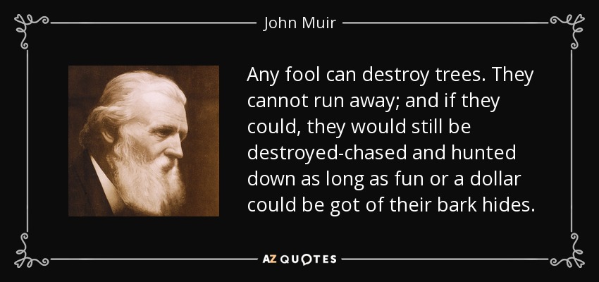 Any fool can destroy trees. They cannot run away; and if they could, they would still be destroyed-chased and hunted down as long as fun or a dollar could be got of their bark hides. - John Muir