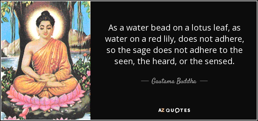 As a water bead on a lotus leaf, as water on a red lily, does not adhere, so the sage does not adhere to the seen, the heard, or the sensed. - Gautama Buddha