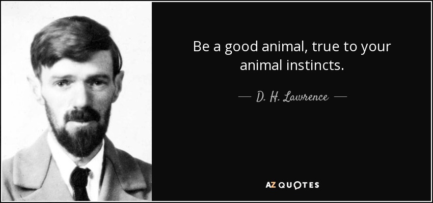 Be a good animal, true to your animal instincts. - D. H. Lawrence