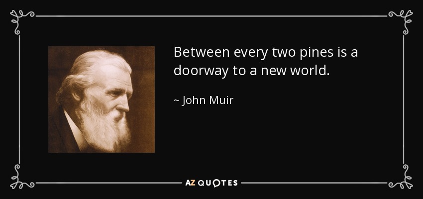 Between every two pines is a doorway to a new world. - John Muir
