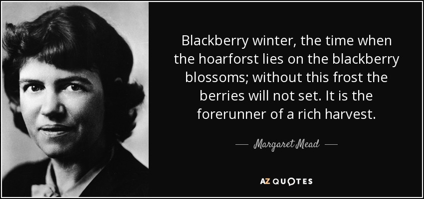 Blackberry winter, the time when the hoarforst lies on the blackberry blossoms; without this frost the berries will not set. It is the forerunner of a rich harvest. - Margaret Mead