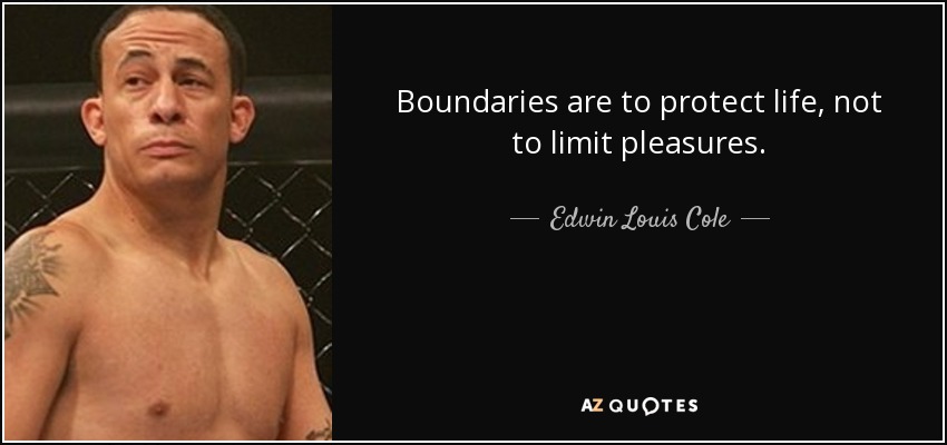 Los límites están para proteger la vida, no para limitar los placeres. - Edwin Louis Cole