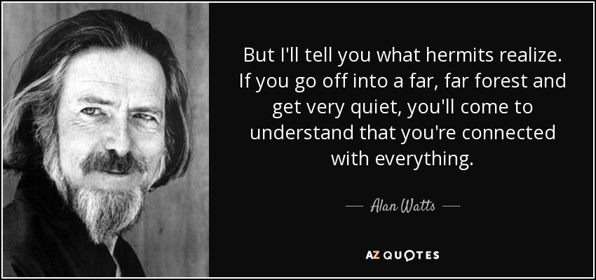 But I'll tell you what hermits realize. If you go off into a far, far forest and get very quiet, you'll come to understand that you're connected with everything. - Alan Watts