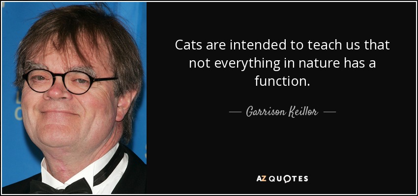 Los gatos pretenden enseñarnos que no todo en la naturaleza tiene una función. - Garrison Keillor