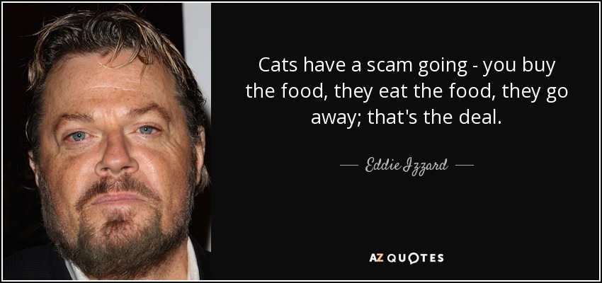 Cats have a scam going - you buy the food, they eat the food, they go away; that's the deal. - Eddie Izzard