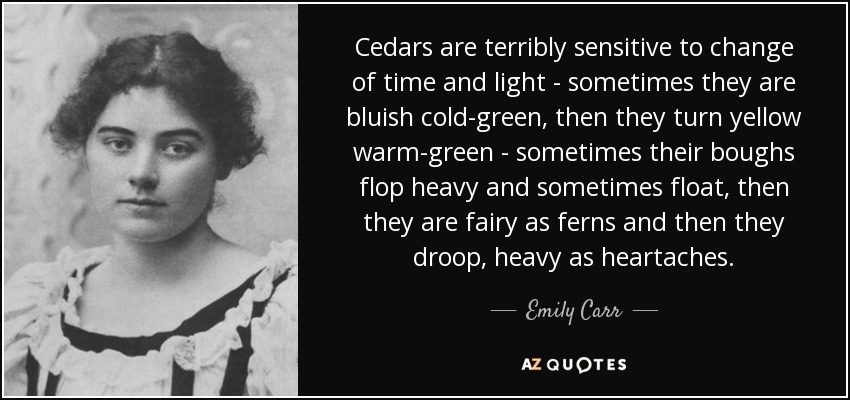 Cedars are terribly sensitive to change of time and light - sometimes they are bluish cold-green, then they turn yellow warm-green - sometimes their boughs flop heavy and sometimes float, then they are fairy as ferns and then they droop, heavy as heartaches. - Emily Carr