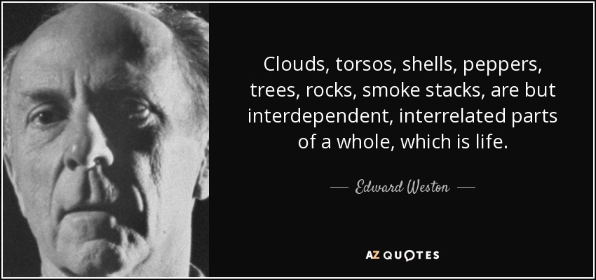 Nubes, torsos, conchas, pimientos, árboles, rocas, chimeneas, no son más que partes interdependientes e interrelacionadas de un todo, que es la vida. - Edward Weston