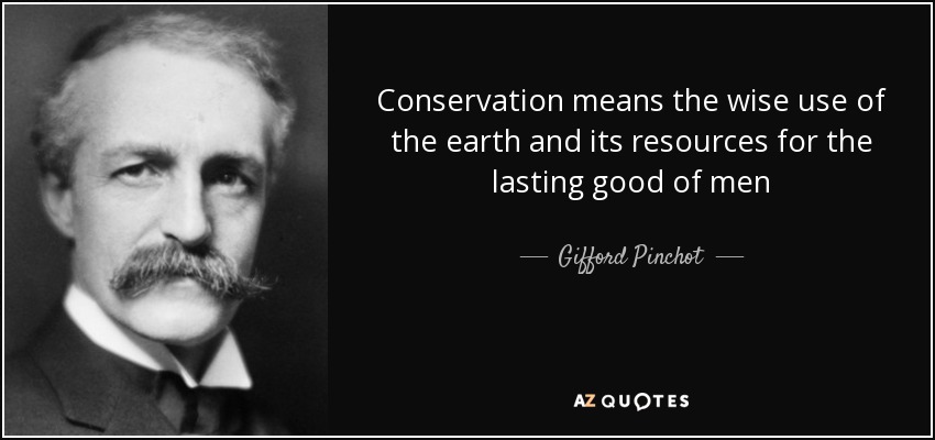 Conservation means the wise use of the earth and its resources for the lasting good of men - Gifford Pinchot