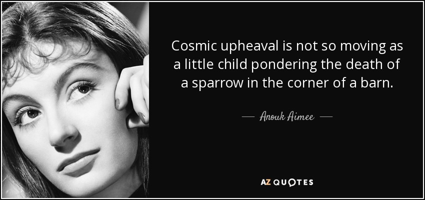 Cosmic upheaval is not so moving as a little child pondering the death of a sparrow in the corner of a barn. - Anouk Aimee