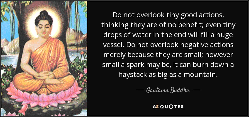 Do not overlook tiny good actions, thinking they are of no benefit; even tiny drops of water in the end will fill a huge vessel. Do not overlook negative actions merely because they are small; however small a spark may be, it can burn down a haystack as big as a mountain. - Gautama Buddha