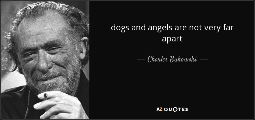 dogs and angels are not very far apart - Charles Bukowski