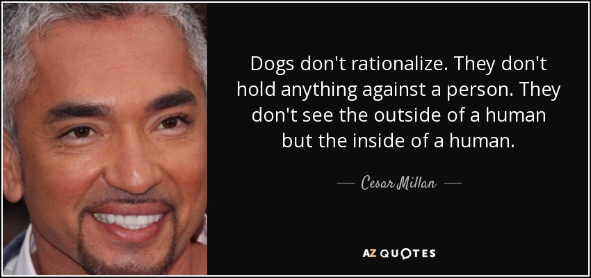 Dogs don't rationalize. They don't hold anything against a person. They don't see the outside of a human but the inside of a human. - Cesar Millan