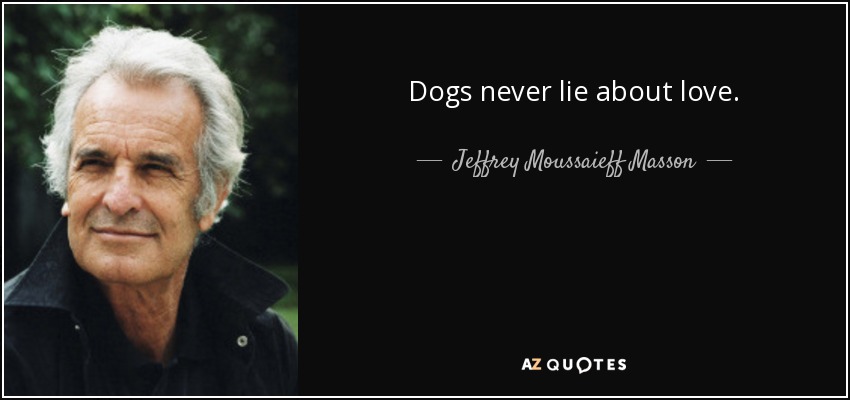 Dogs never lie about love. - Jeffrey Moussaieff Masson