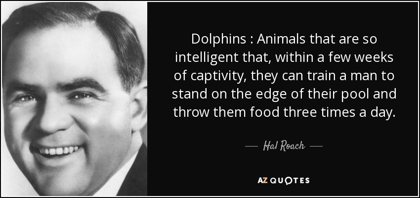 Dolphins : Animals that are so intelligent that, within a few weeks of captivity, they can train a man to stand on the edge of their pool and throw them food three times a day. - Hal Roach
