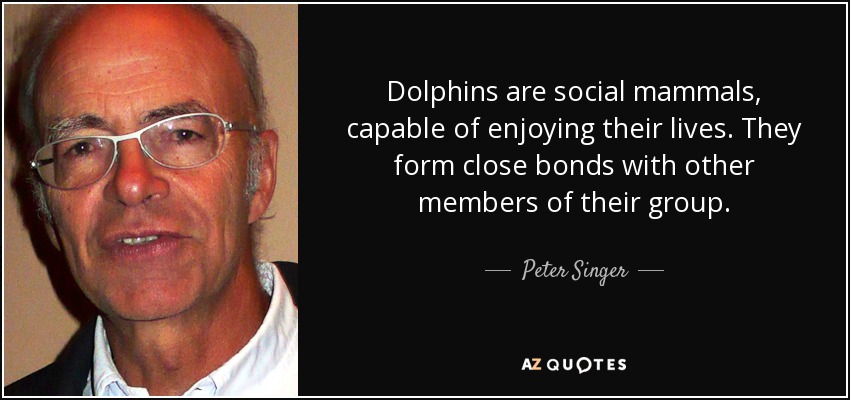 Dolphins are social mammals, capable of enjoying their lives. They form close bonds with other members of their group. - Peter Singer
